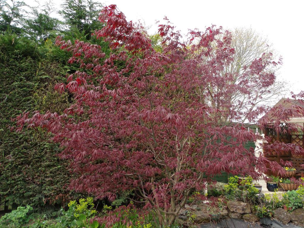 Apartment Acers
